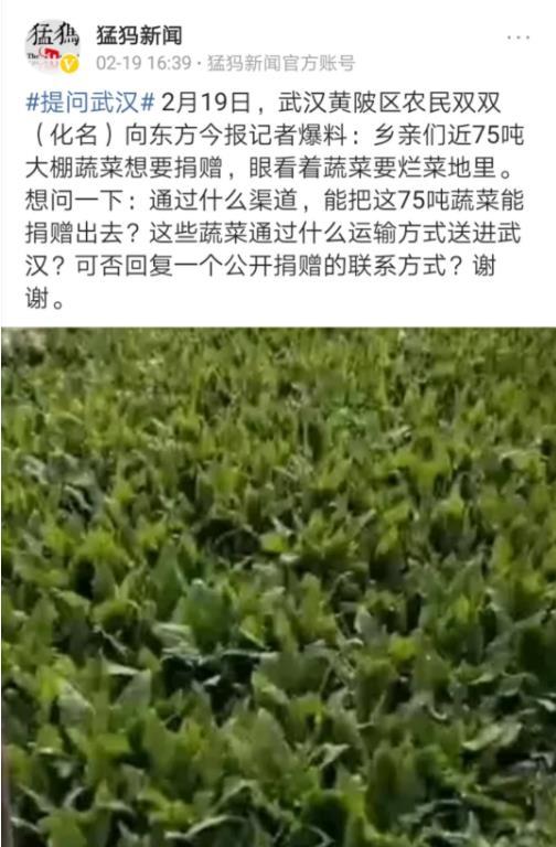 基于网络的广大农村信用收获新工艺风尚人情永久性培养，今日社区绿地行动探索——今日智慧农耕引领乡村发展新境界